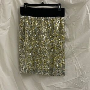 Silver Sequined Skirt with Neon Yellow Backing